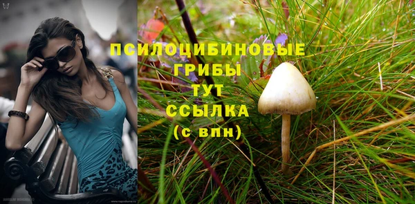 бутират Богданович