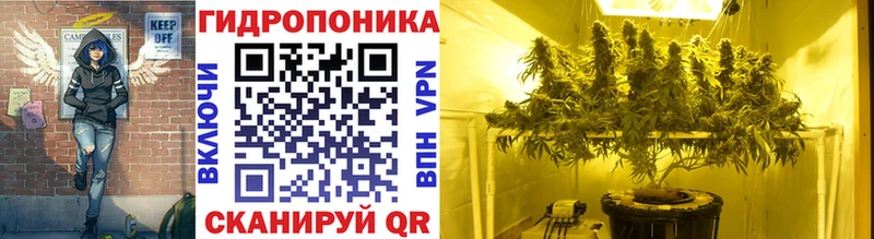Бошки марихуана конопля  Киренск 